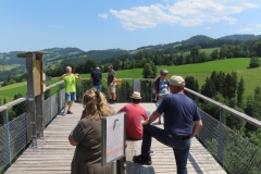 svlb-galerie22-5